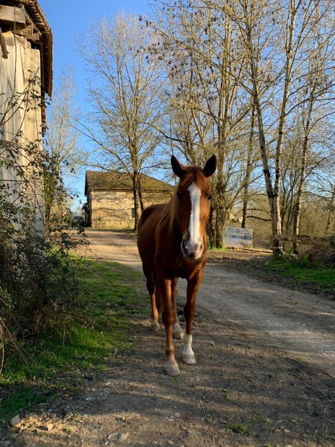 Bed and Breakfast Le Prosper Marciac Esterno foto